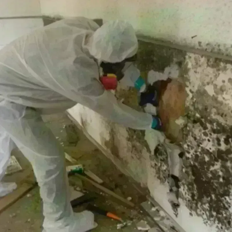 Best Mold Remediation and Removal Service in Sperry, OK