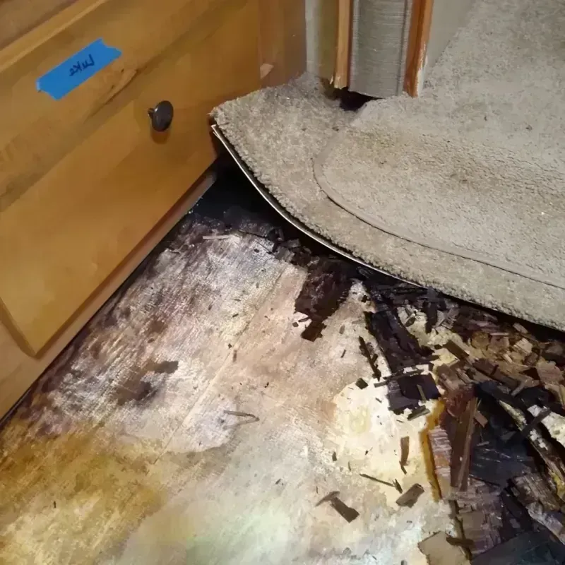 Wood Floor Water Damage in Sperry, OK